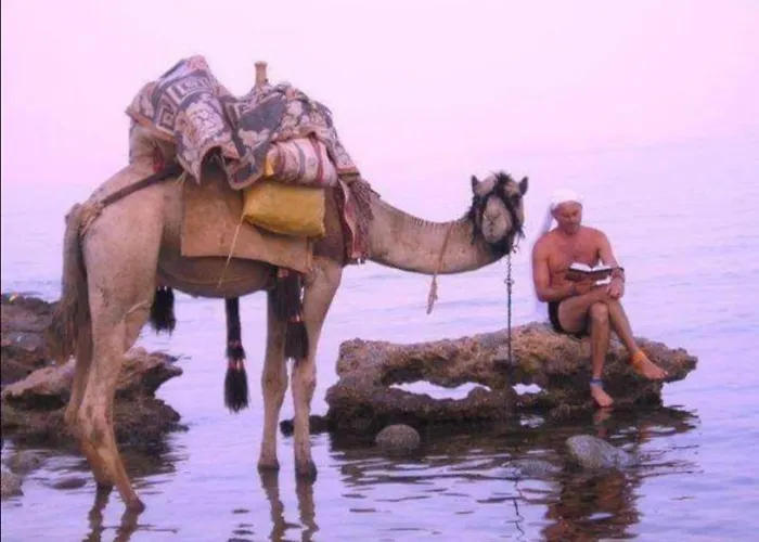 Oasis Fighting Kangaroo Szálloda Dahab